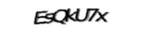 Security check image, please type the characters shown